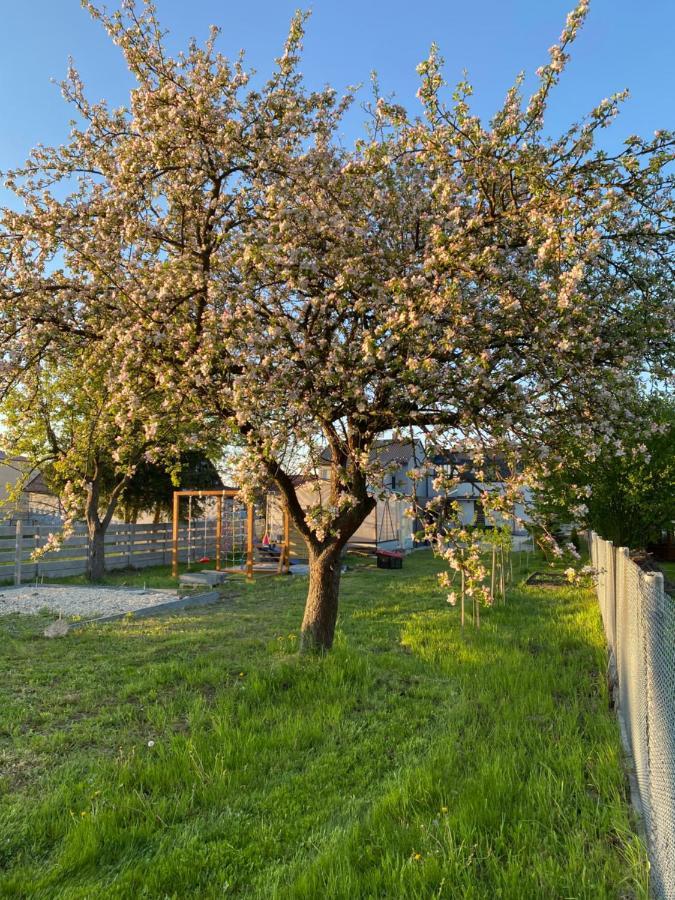 Apartament Tokarnia Duza 126 Leilighet Eksteriør bilde